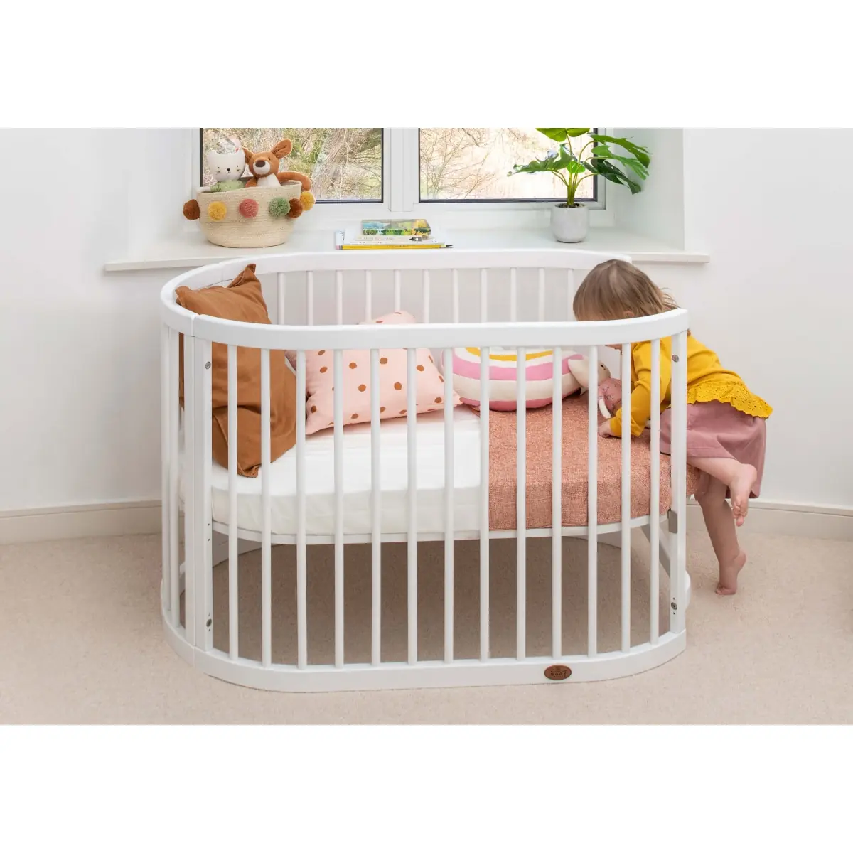 Oval shop cots uk