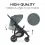 Hauck Rapid 4D Stroller-Rose (New)