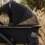 Venicci Tinum Edge Special Edition 2in1 Pram System - Raven