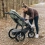 UPPAbaby Ridge Stroller - Gwen