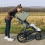 UPPAbaby Ridge Stroller - Gwen