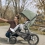 UPPAbaby Ridge Stroller - Gwen