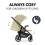 Hauck Shop N Care Pushchair - Olive !