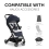 Hauk Travel N Care Stroller - Navy Blue !