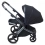 Anex L-Type Travel System with Cloud G Car Seat - Hazel