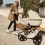 Anex Eli Stroller - Muse