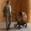 Anex IQ Basic 2in1 Pram System - Sienna