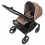 Anex IQ Basic 2in1 Pram System - Sienna