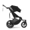 Cybex Avi Spin Luxury Cloud G Bundle - Moon Black/Black