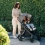 UPPAbaby Vista V3 2in1 Pram System - Gwen