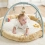 Nattou Charile the Dog Stuffed Playmat with Arches - Beige