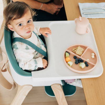 UPPAbaby Home